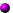 bullet